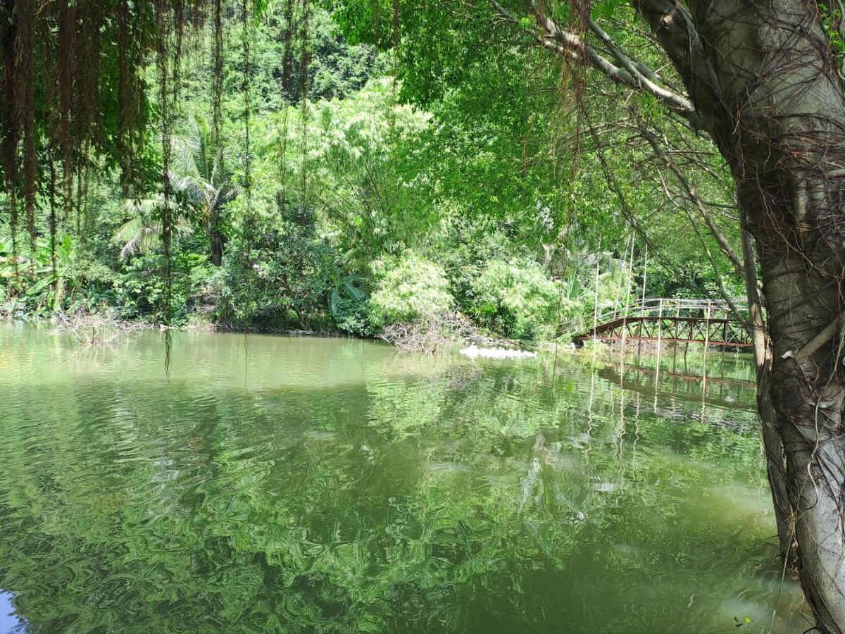 Thung Sen Tam Coc Chalets Ninh Binh Bagian luar foto