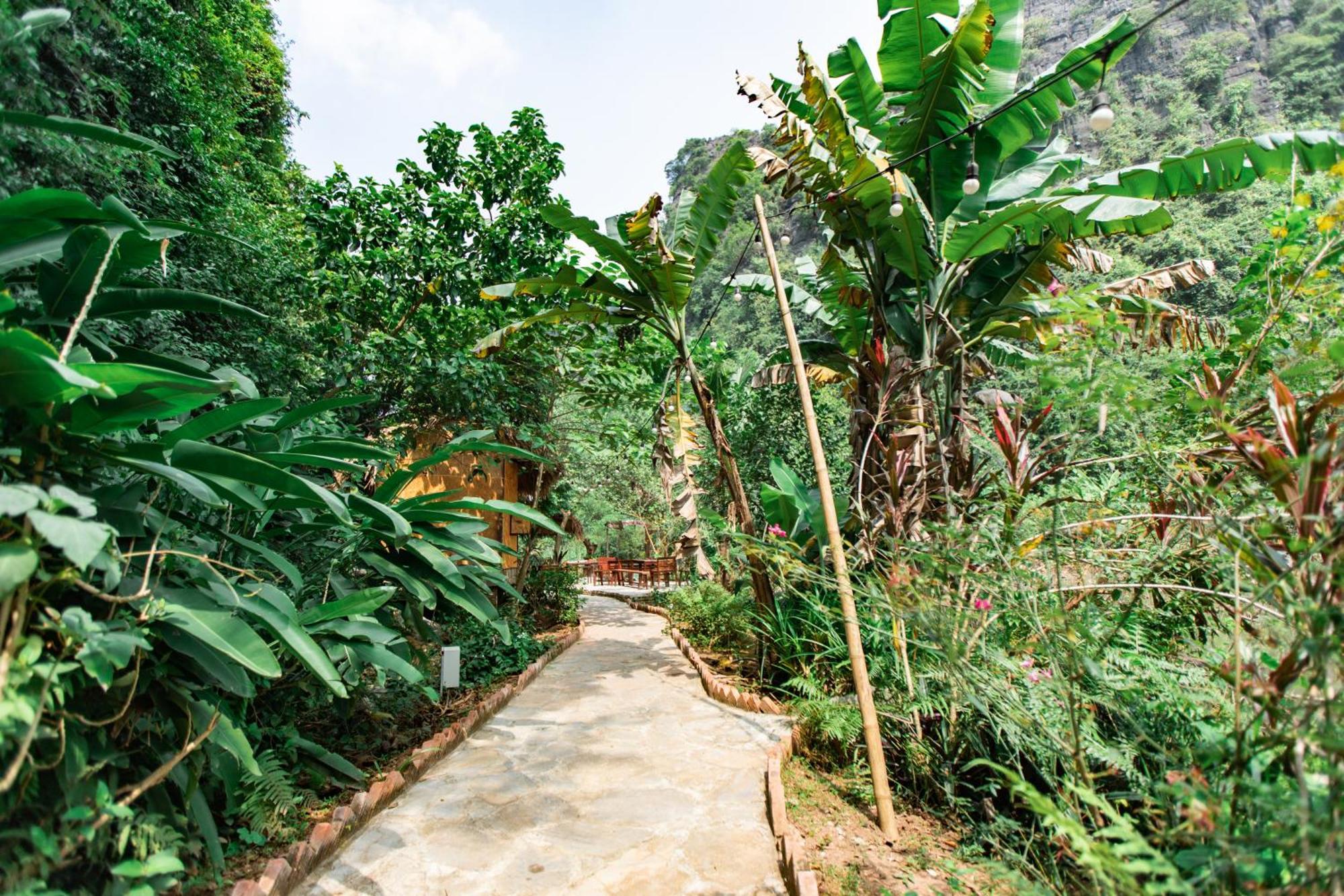 Thung Sen Tam Coc Chalets Ninh Binh Bagian luar foto