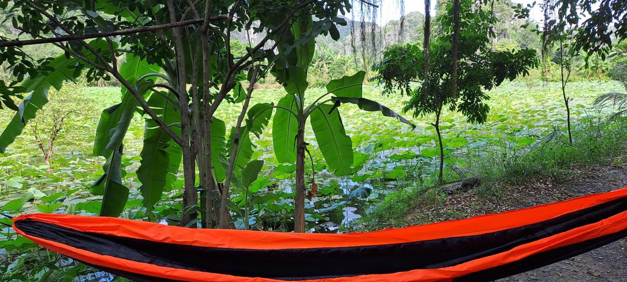 Thung Sen Tam Coc Chalets Ninh Binh Bagian luar foto